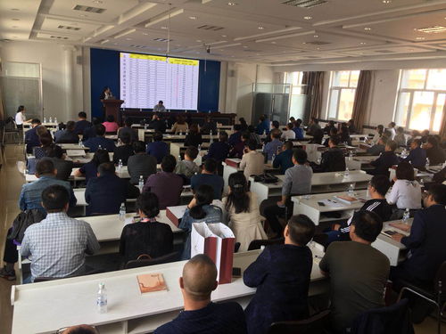 哈市启动新高考适应性培训 教育科技赋能改革探讨